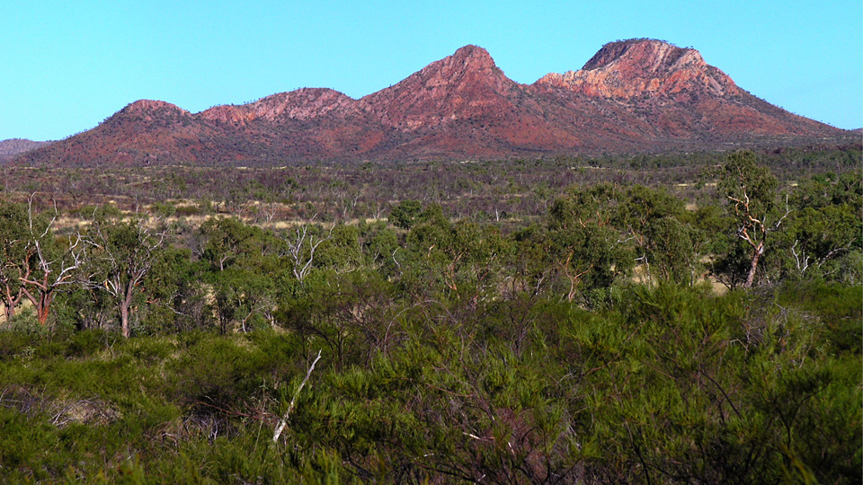 A WALK IN THE YAMAMILLA HILLS 2, QUEENSLAND NORTH WEST HIGHLANDS