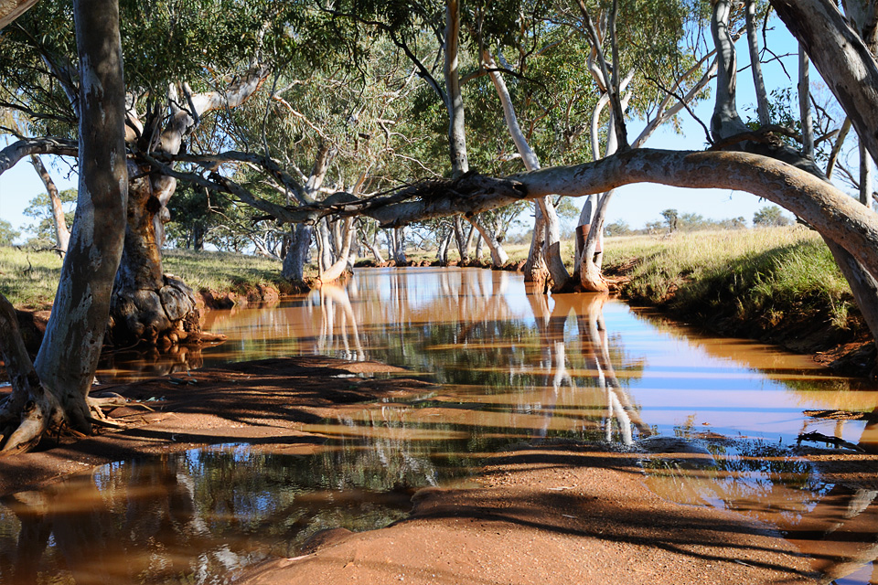 CENTRAL AUSTRALIAN LANDSCAPES