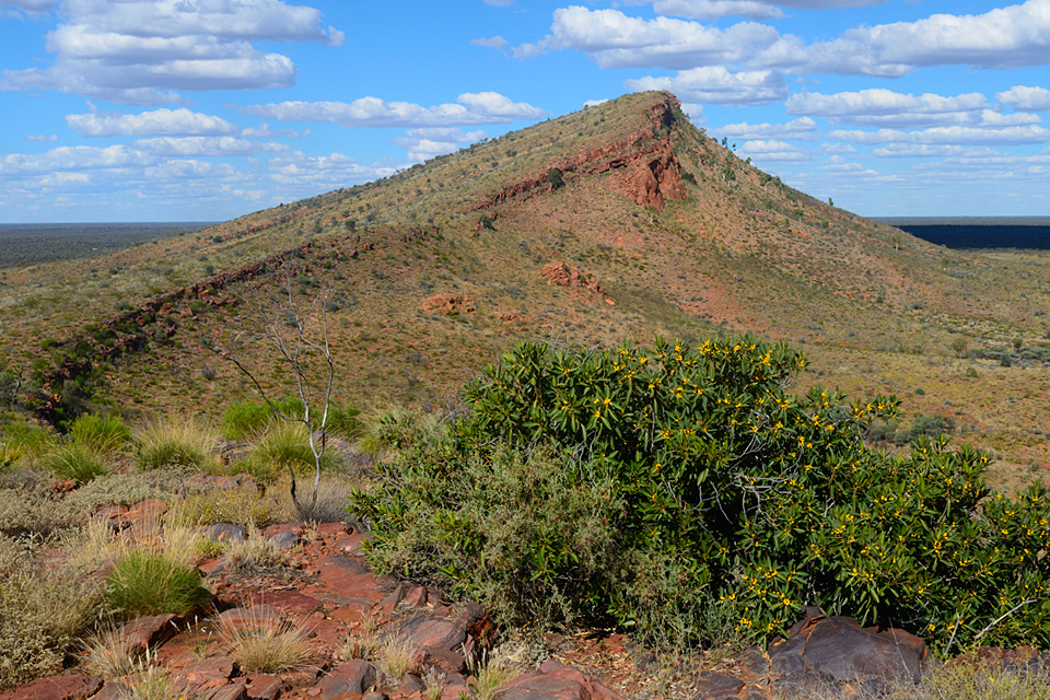 CENTRAL AUSTRALIAN LANDSCAPES