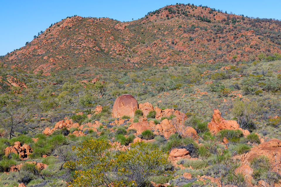 ANMATJIRA RANGE, CENTRAL AUSTRALIA